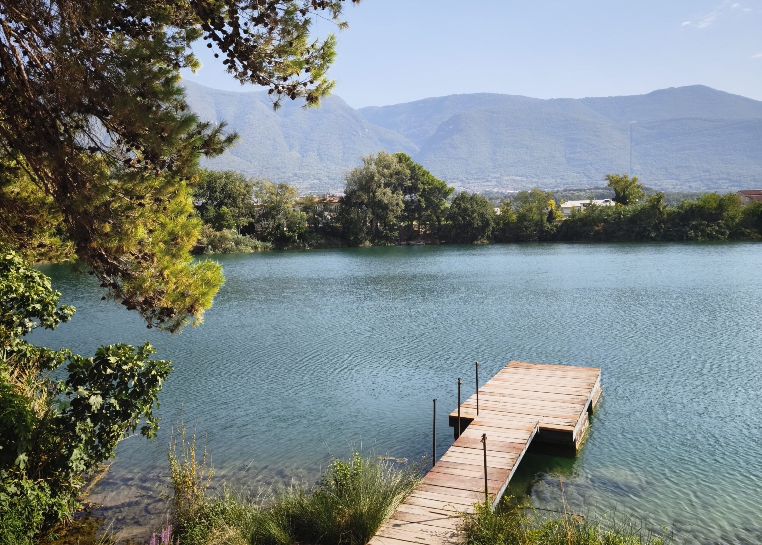 lago tel