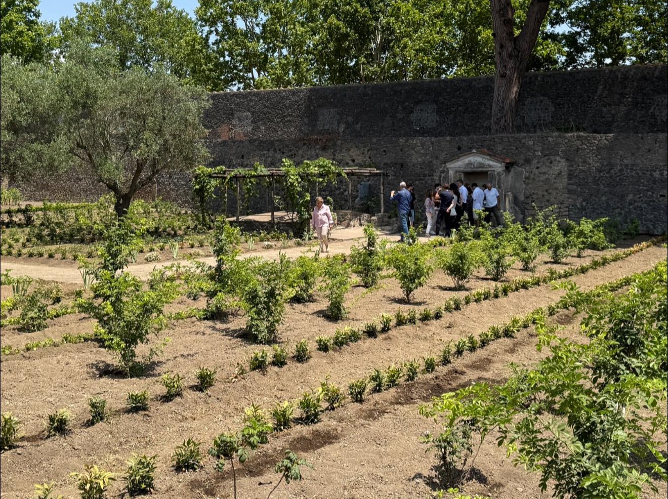 GREEN CARE SCAVI POMPEI