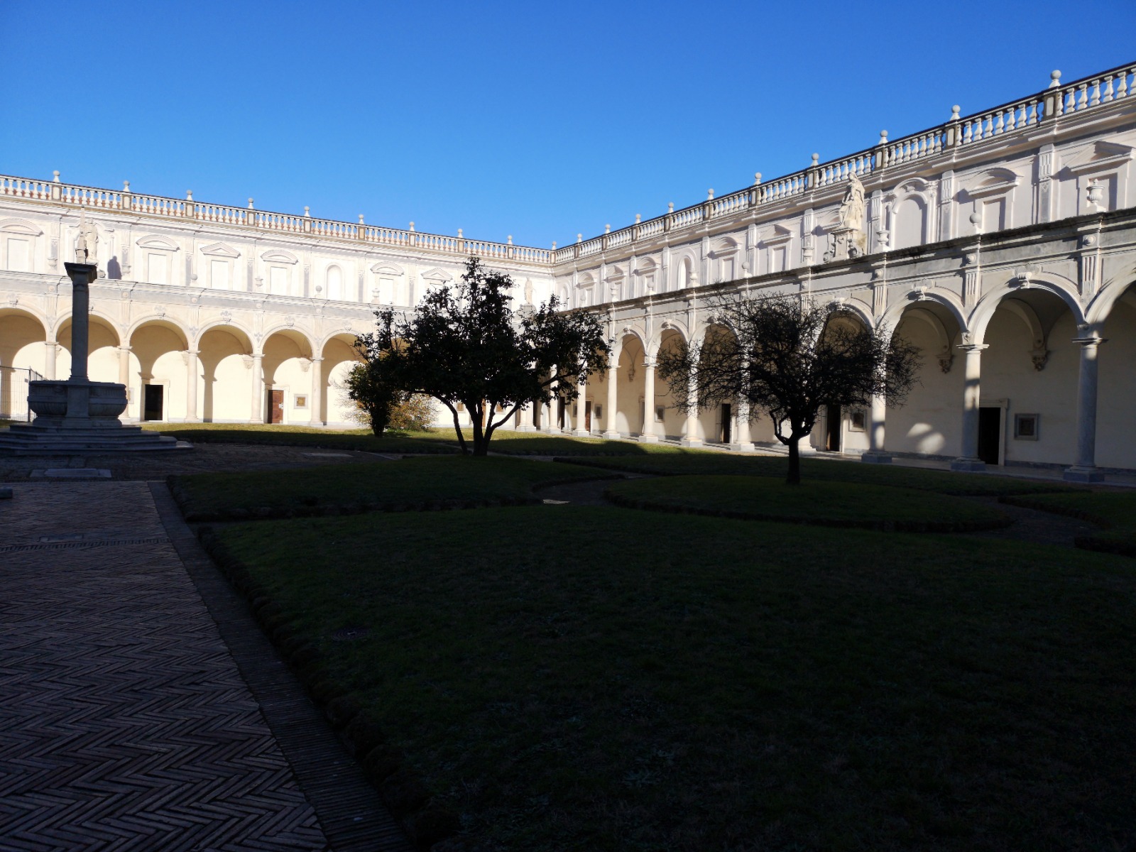 WhatsApp Image 2026-01-17 at 00.53.43