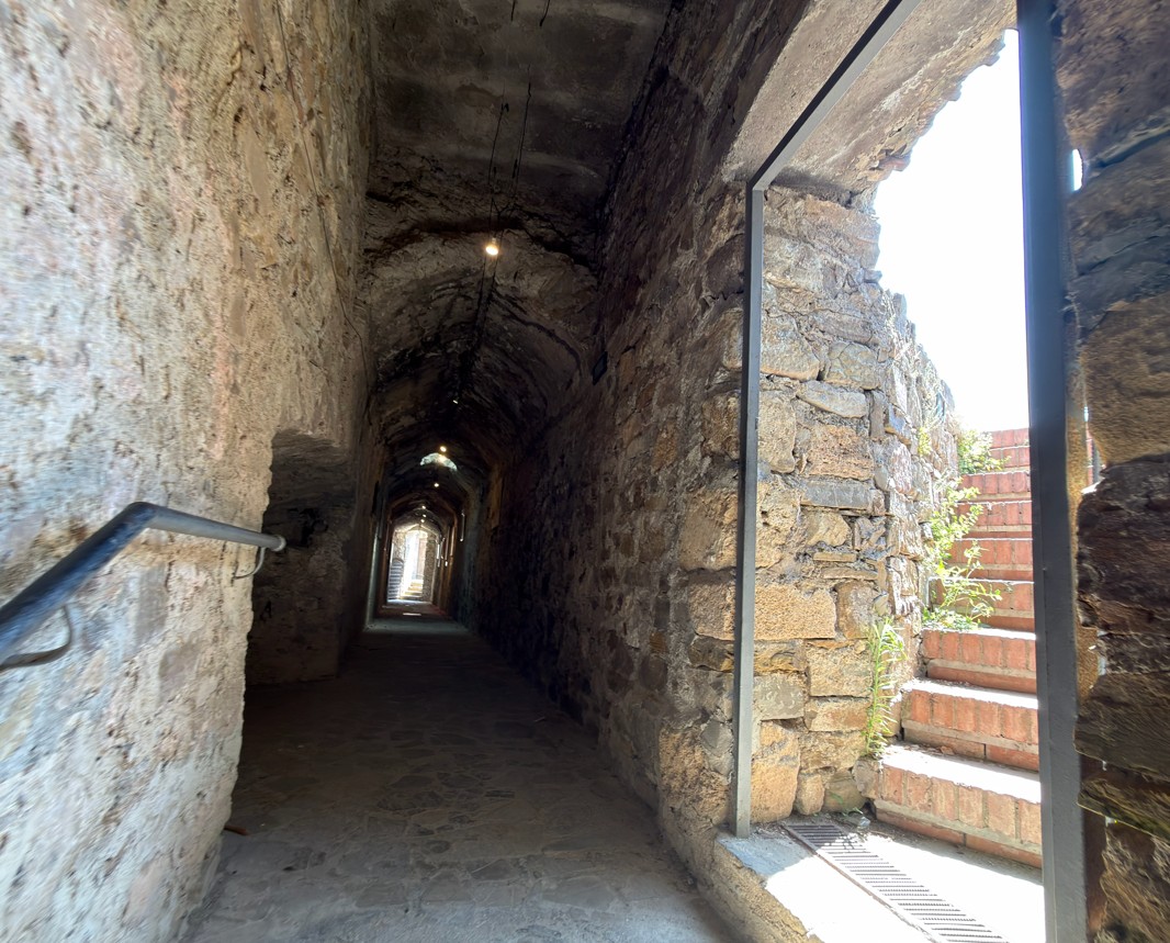 casty Agropoli Int
